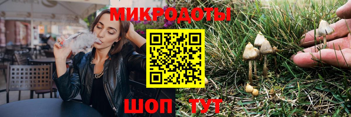Псилоцибиновые грибы Psilocybe  Псилоцибиновые грибы прущие грибы  Вход с VPN  Горячий Ключ 